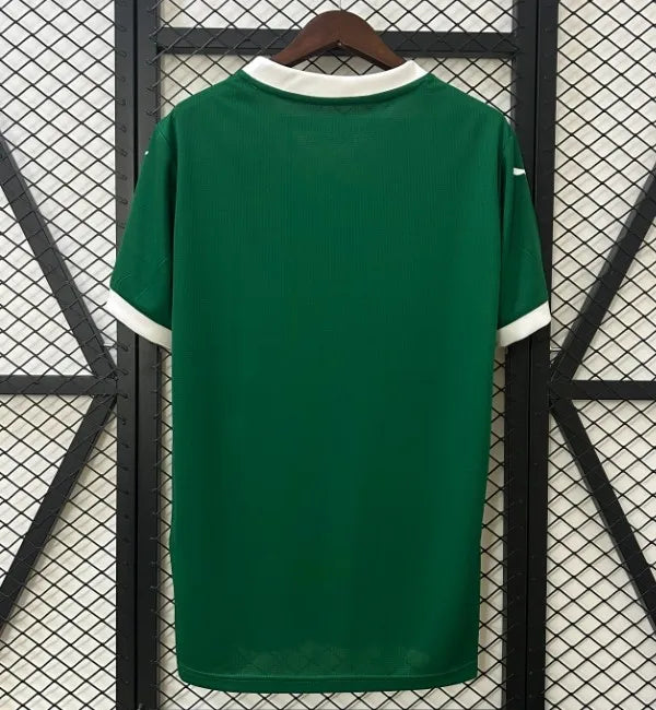 Palmeiras 25/26 Home Kit