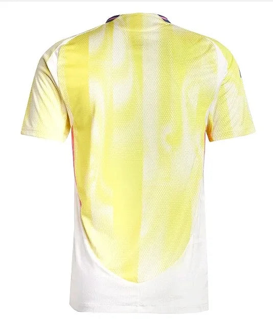 Juventus 24/25 Away Kit