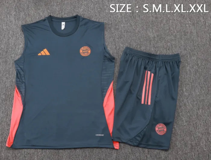 Bayern 25/26 Vest Grey