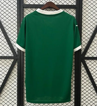 Palmeiras 25/26 Home Kit