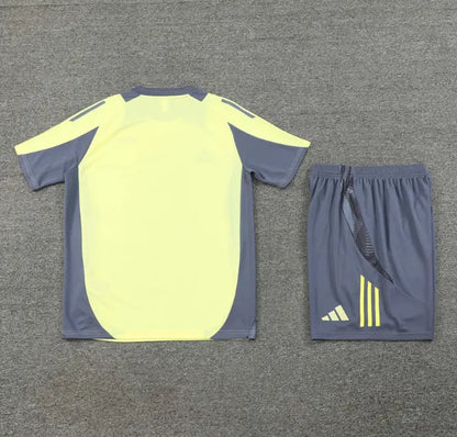 Ajax 24/25 Yellow Short Sleeve And Grey Shorts